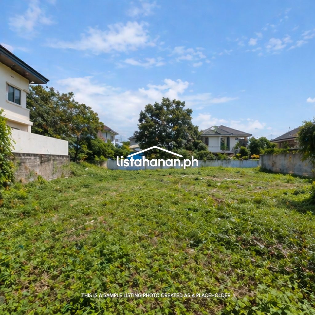Lot for Sale in Parañaque, Metro Manila thumbnail 3