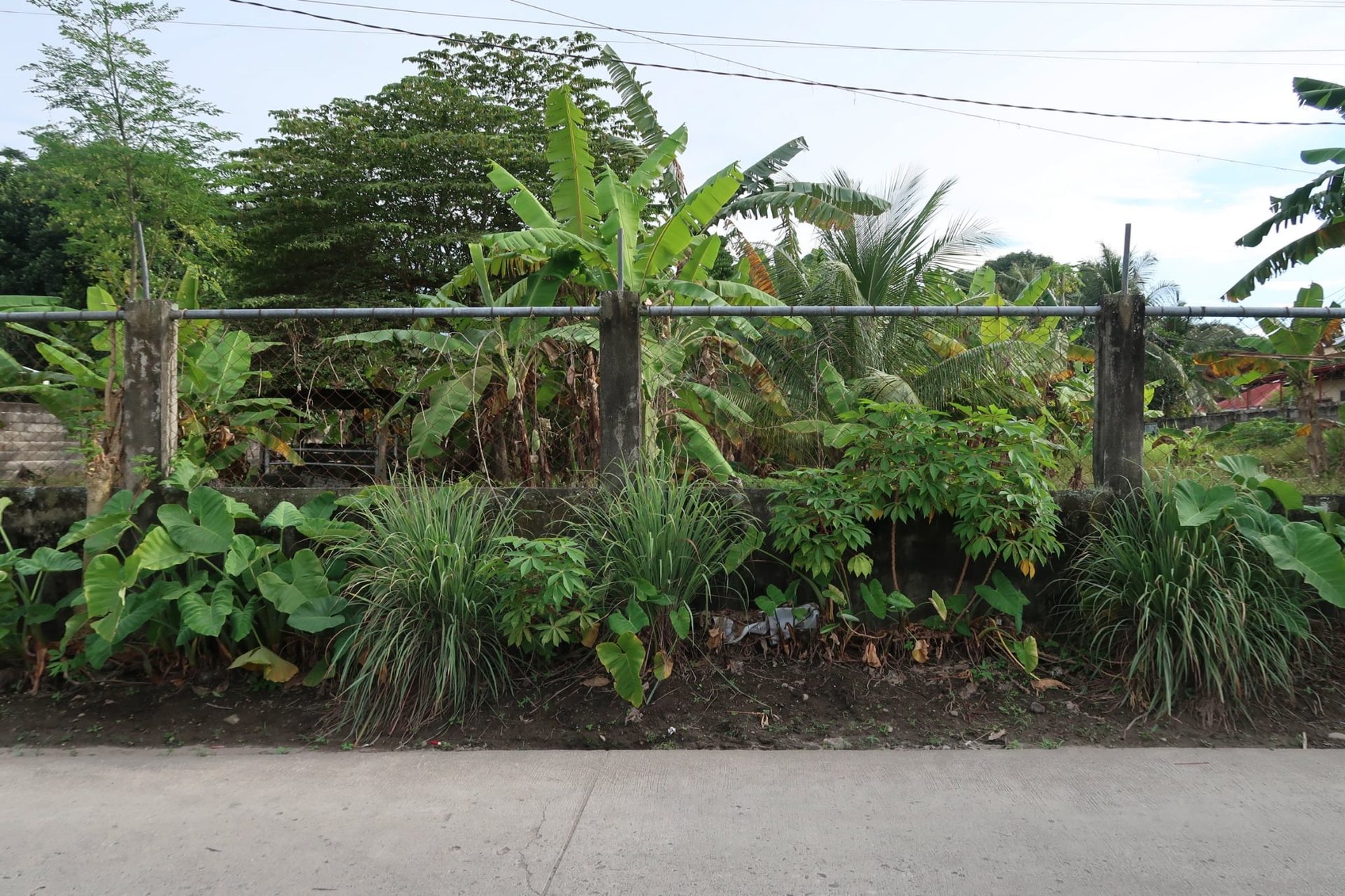 Lot for Sale in Bacong, Negros Oriental thumbnail 1