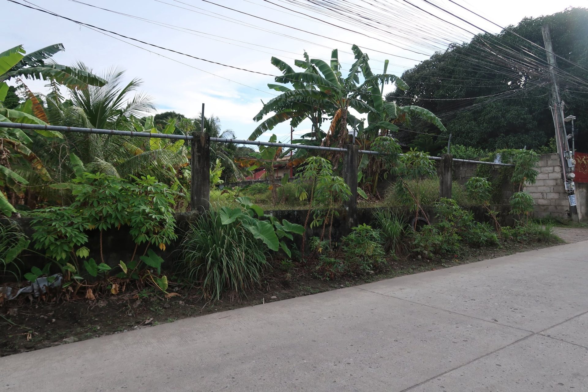 Lot for Sale in Bacong, Negros Oriental thumbnail 2