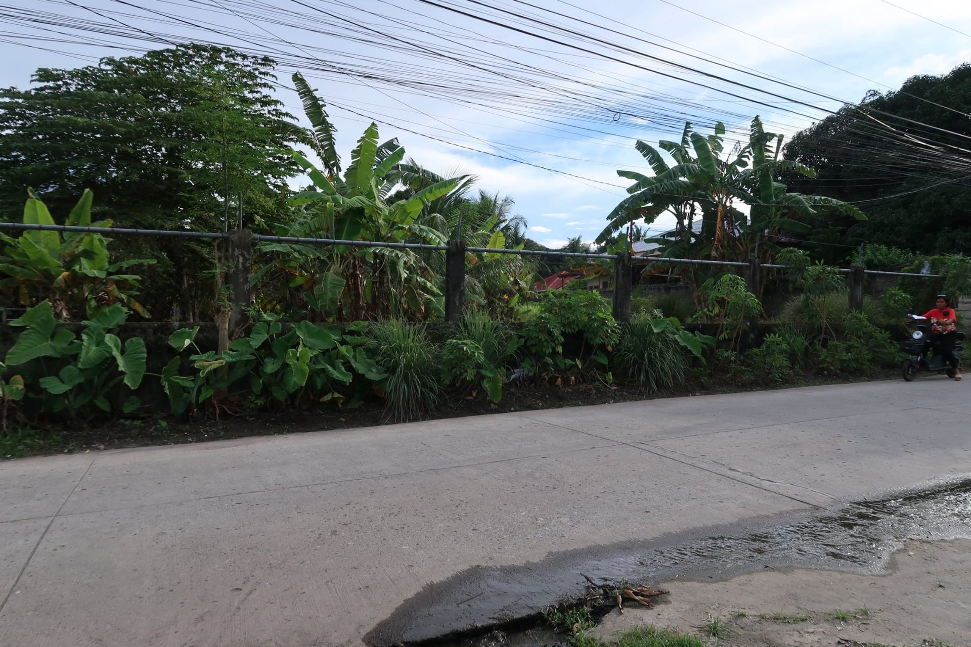 Lot for Sale in Bacong, Negros Oriental thumbnail 3