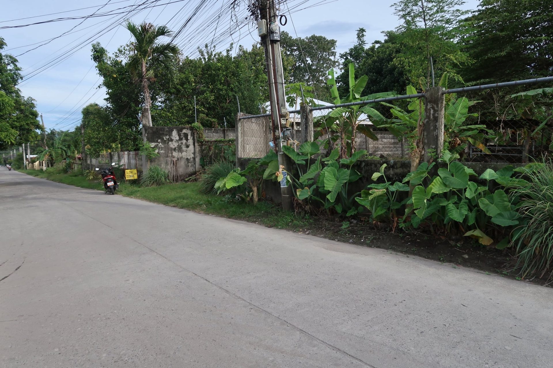 Lot for Sale in Bacong, Negros Oriental thumbnail 4